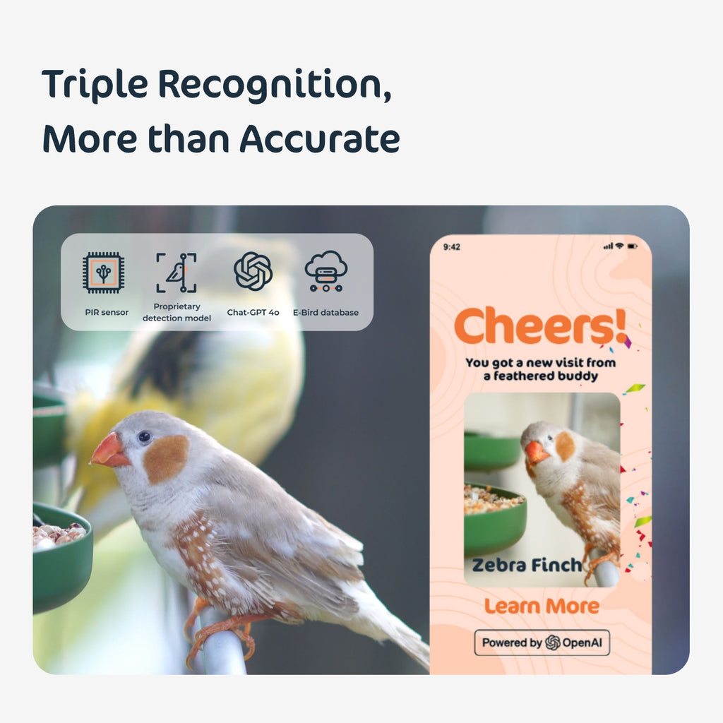 RobinsNote Rebate Program