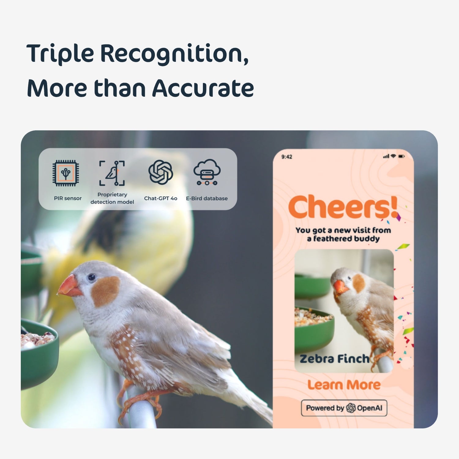 RobinsNote Rebate Program